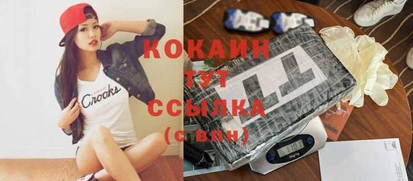 стаф Абинск